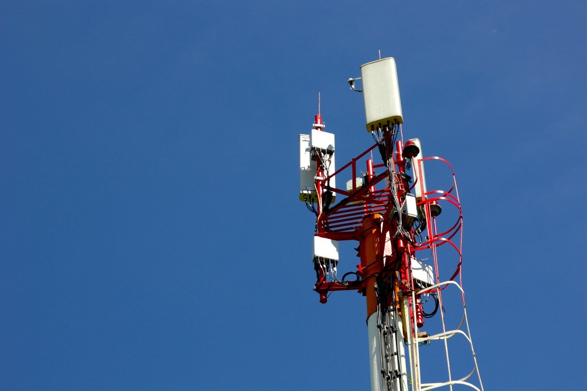   Dena Skulskaya на Unsplash