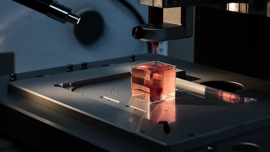    Фото: Global Look Press/Nir Alon/ZUMAPRESS.com