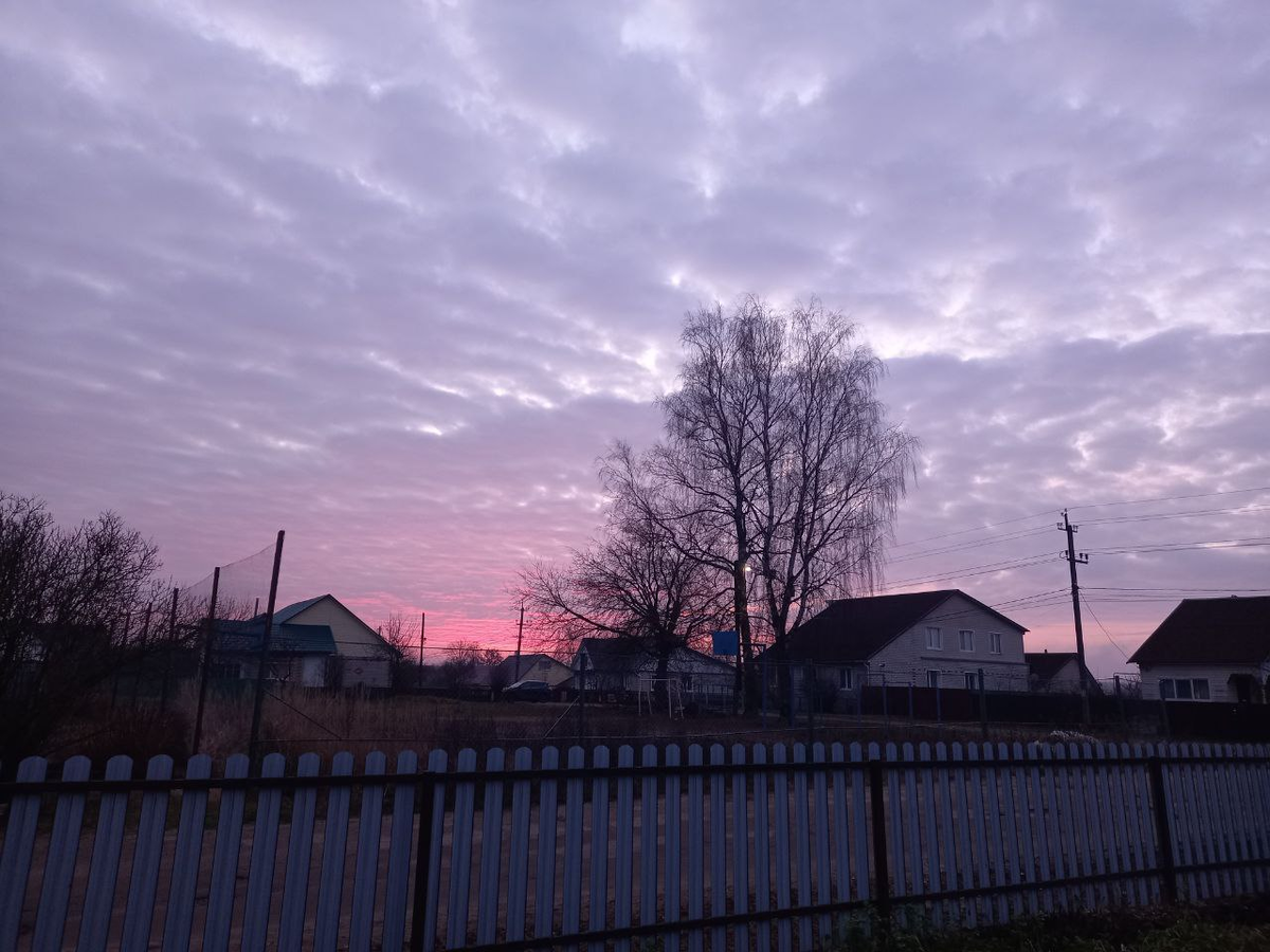 Утро. Начало девятого. 1 декабря. Брянская область.