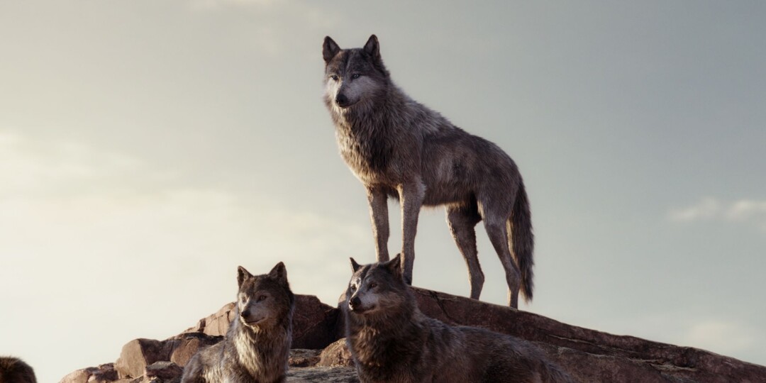 Плохо без Вожака