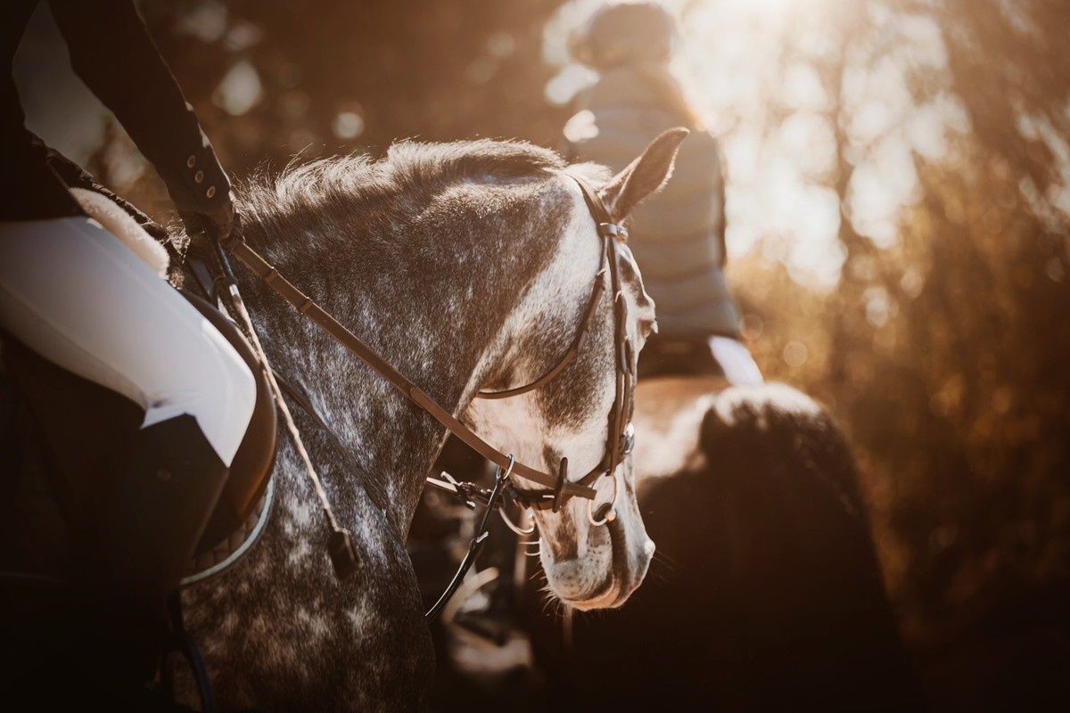 Источник фото: коллекция Трипстер, фотосток