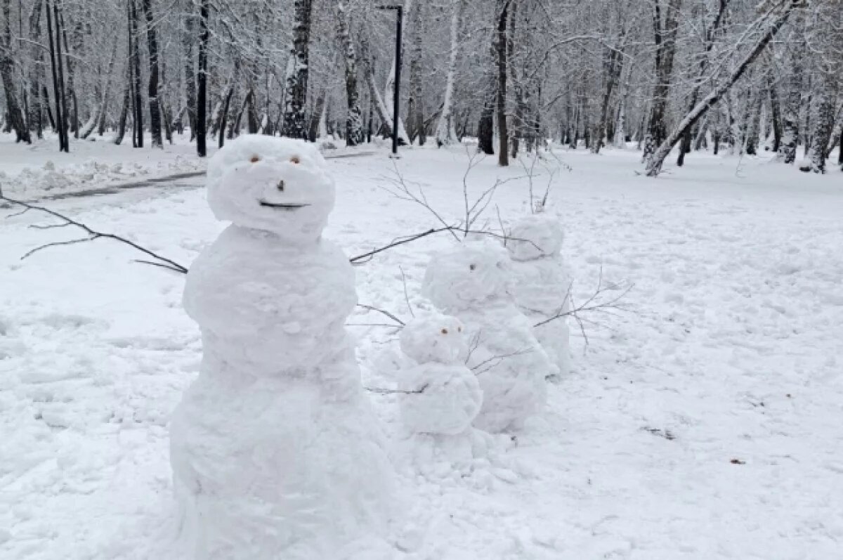    -2 градуса и мокрый снег ожидаются в Новосибирске 2 декабря