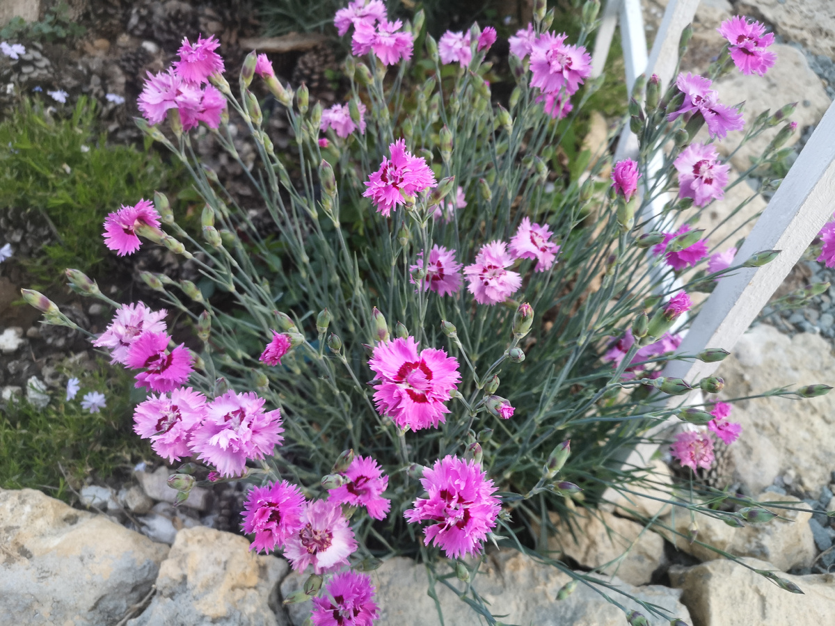 Как и тех, кто лебезит перед модераторами. Ведь эти авторы прекрасно знают, что происходит на платформе, открыто высказать свое "фи" в нашу сторону не могут (потеряют подписчиков), но к дзену лояльны.... Ну-ну...