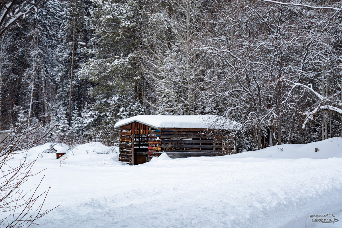    Фото: Галина Ниценкова © ИА «Уральский меридиан»