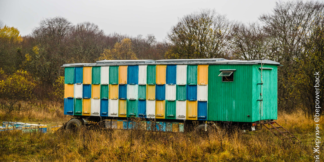 Сладкий обман: почему на южных трассах туристам продают мед, который я не рискнул закупать