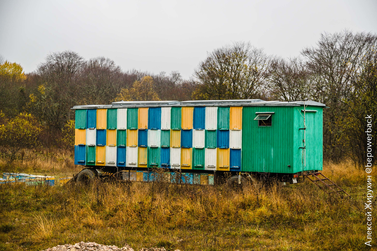Типичная пасека у дороги: красиво для фото, но пчелы здесь не живут