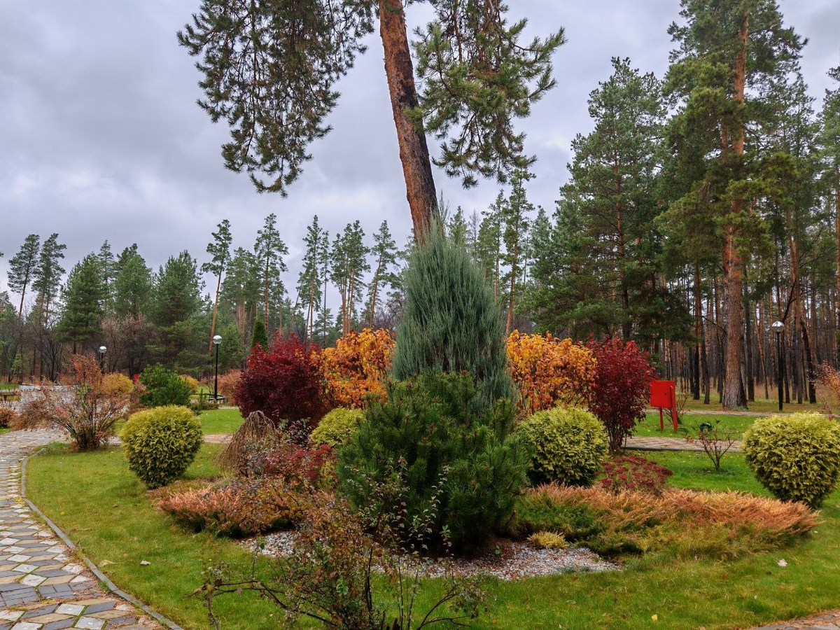 Фото из архива автора канала "Парадоксальные путешественники"