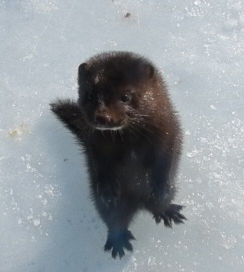    Фото: Александр Бузинов   📷   Фото: Александр Бузинов
