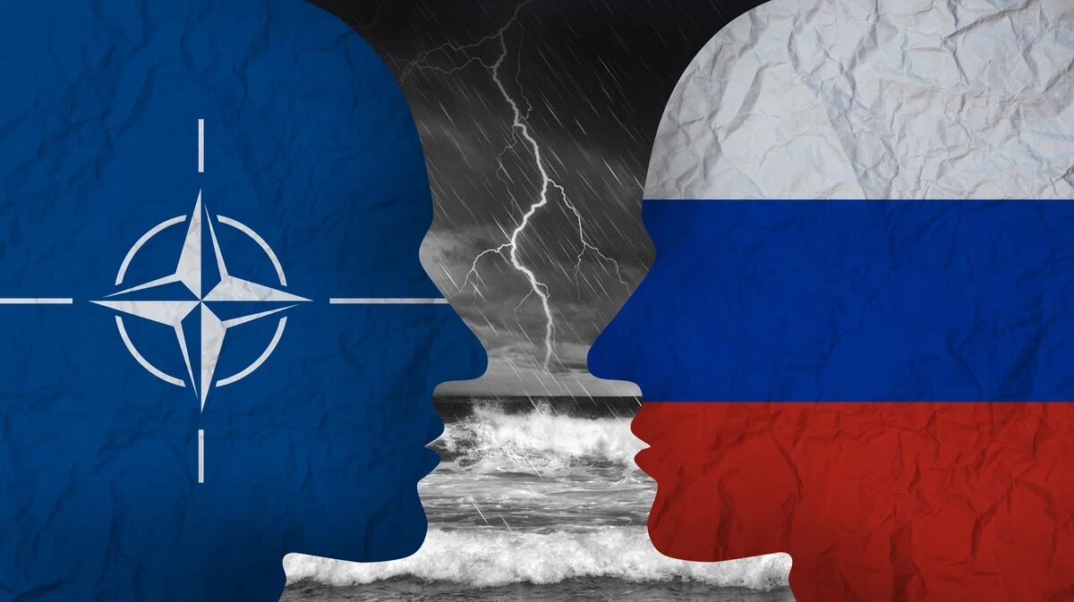    фото: shutterstock