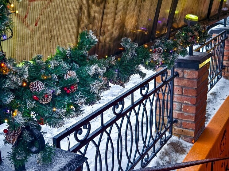     Фото: Дмитрий Еланаков