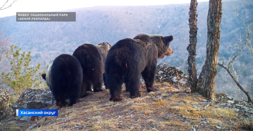    Источник фото: