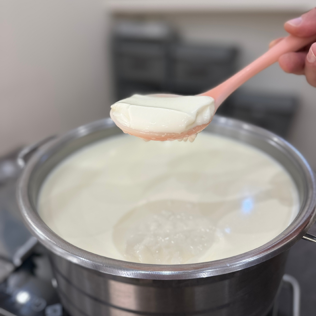 Производственная закваска для сыра