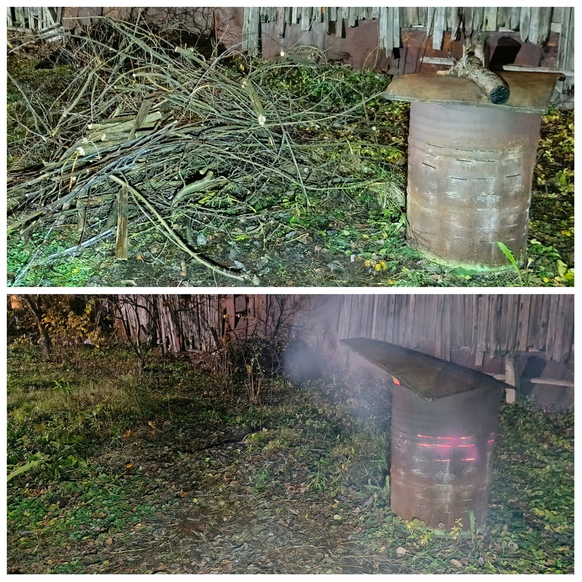 Моя радость от отсутствия кучи веток была недолгой. Меньше месяца. 