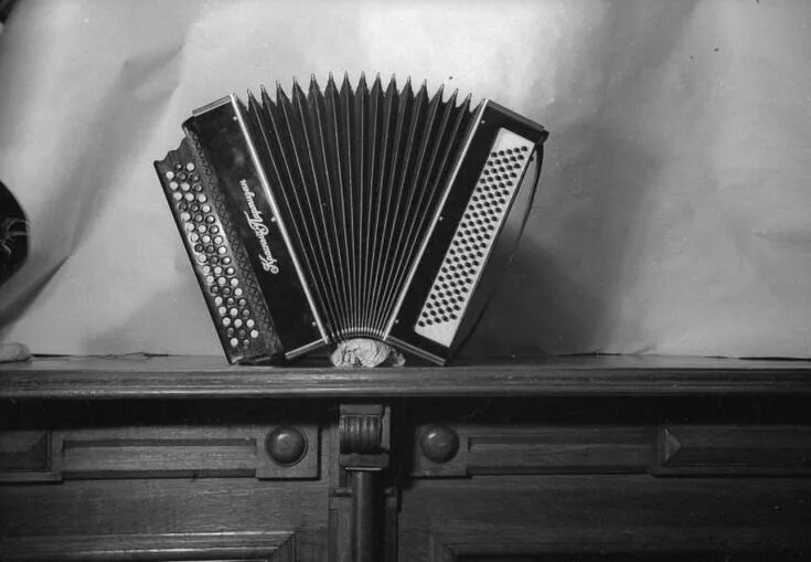 Мистическая история: Баян