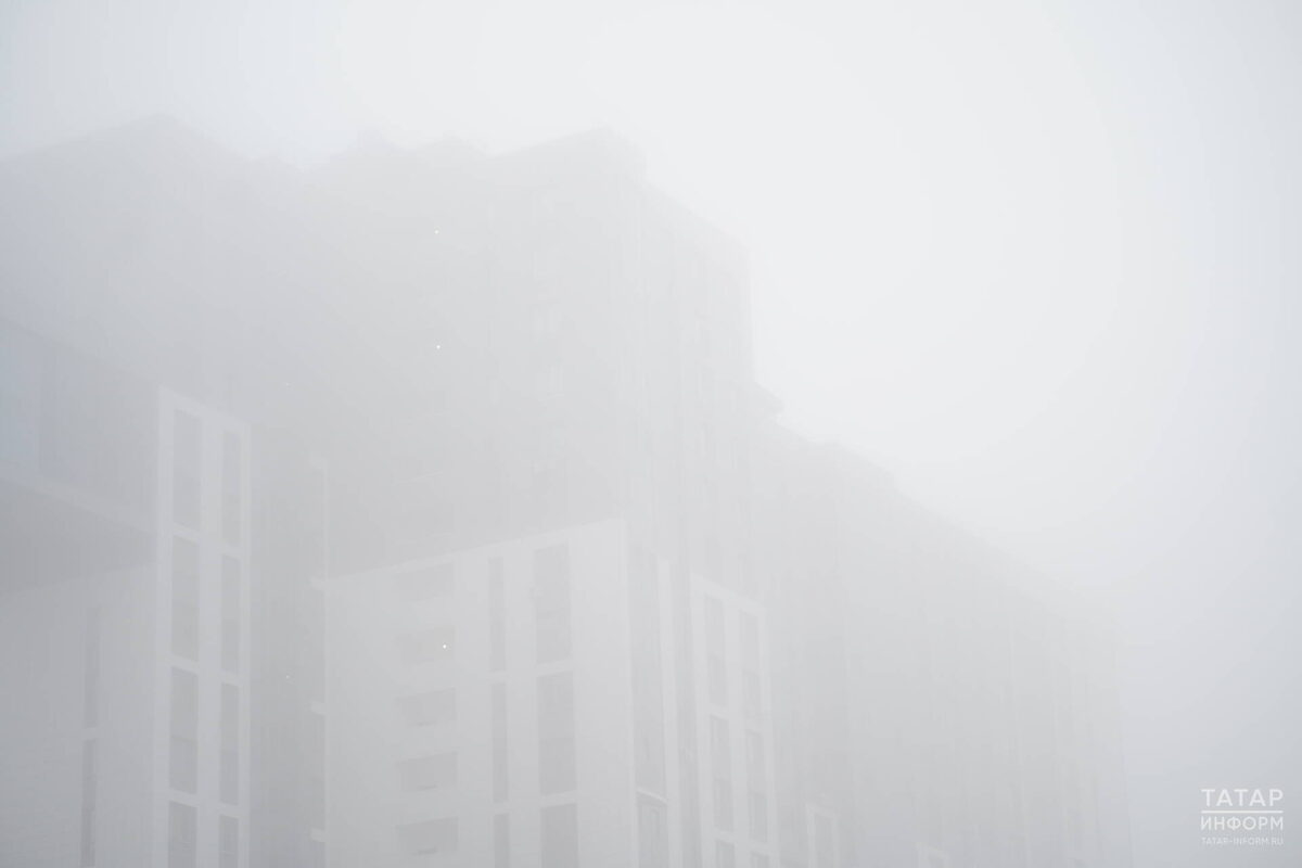 Фото: © Владимир Васильев / «Татар-информ»