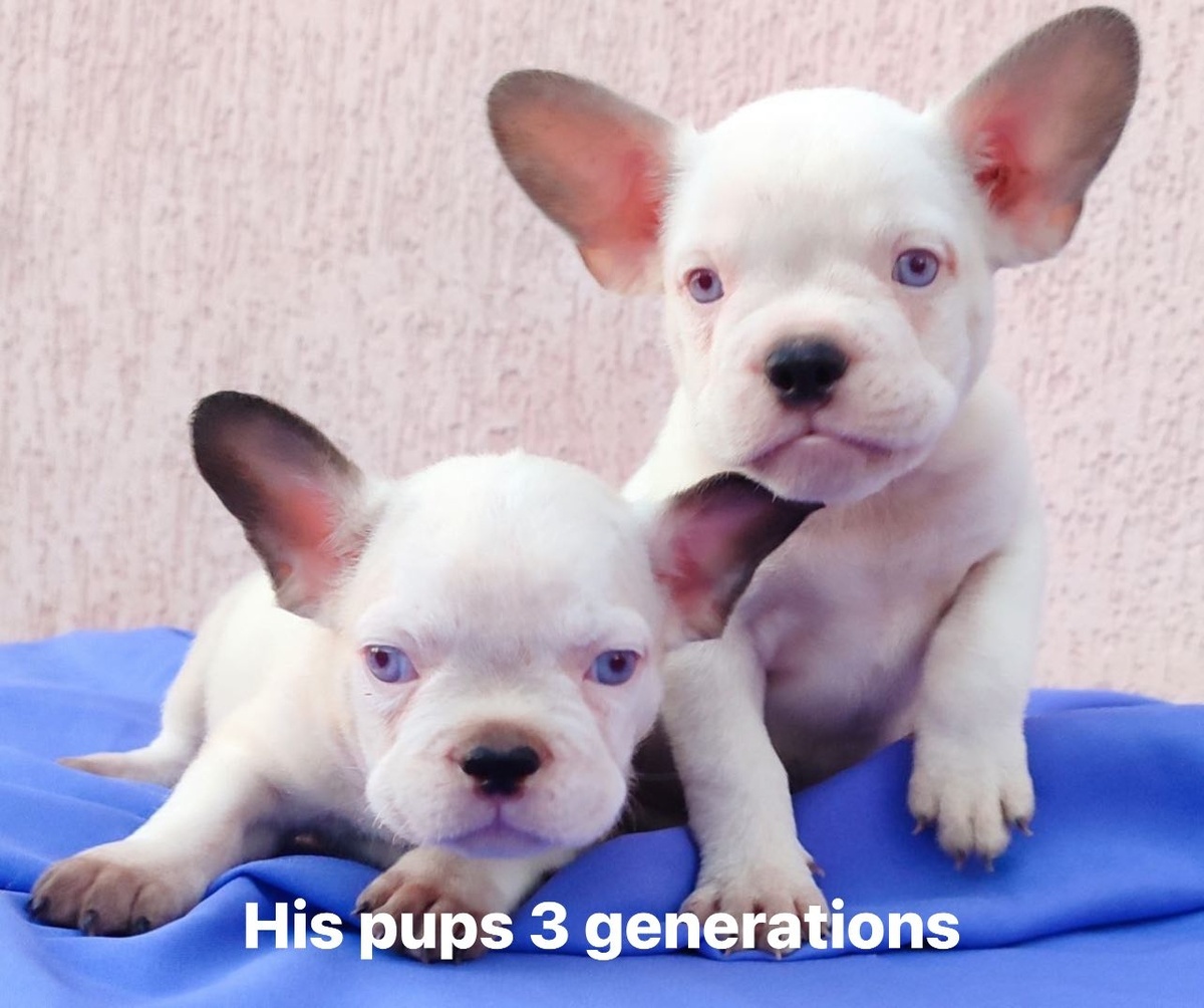 скриншот автора