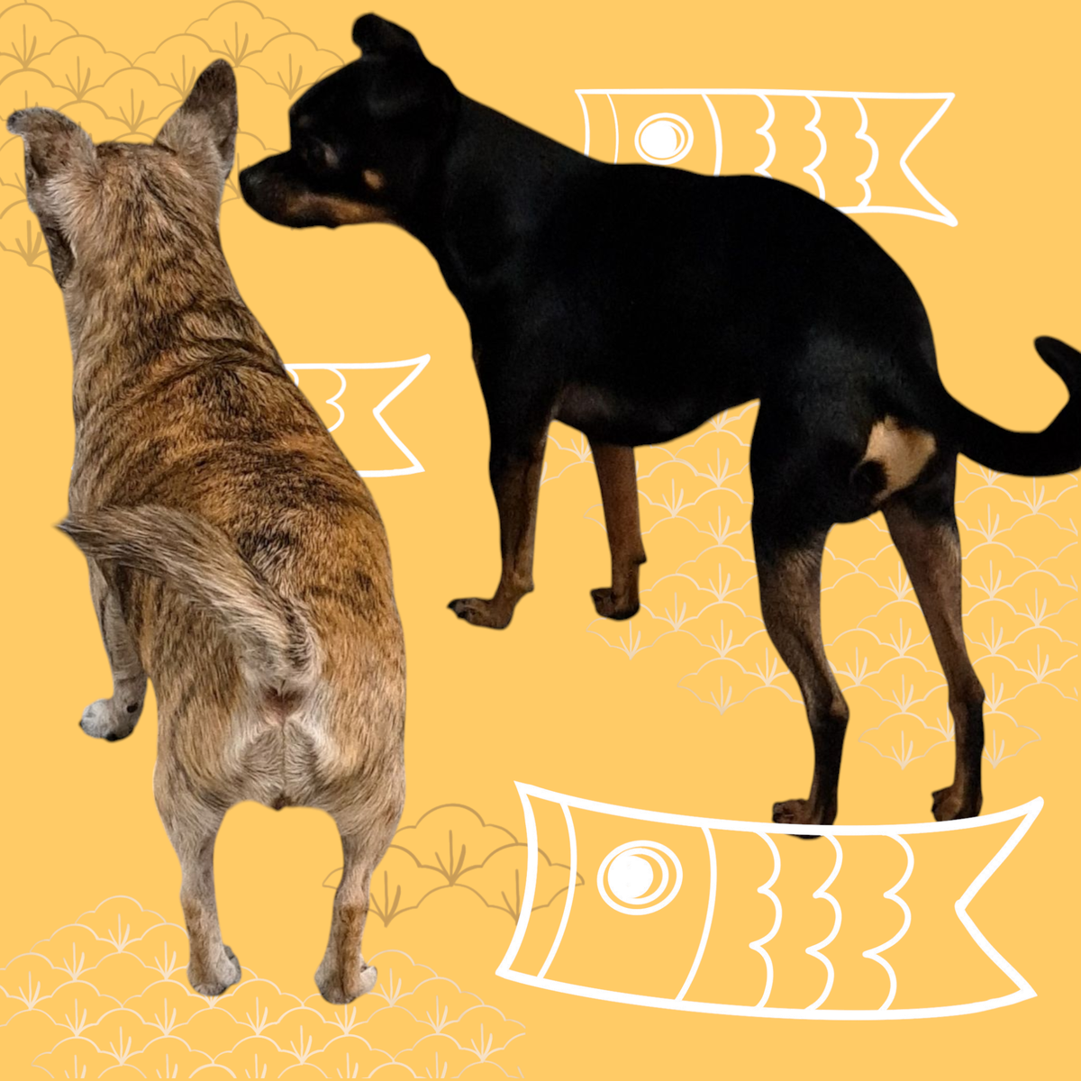 фото обработано автором