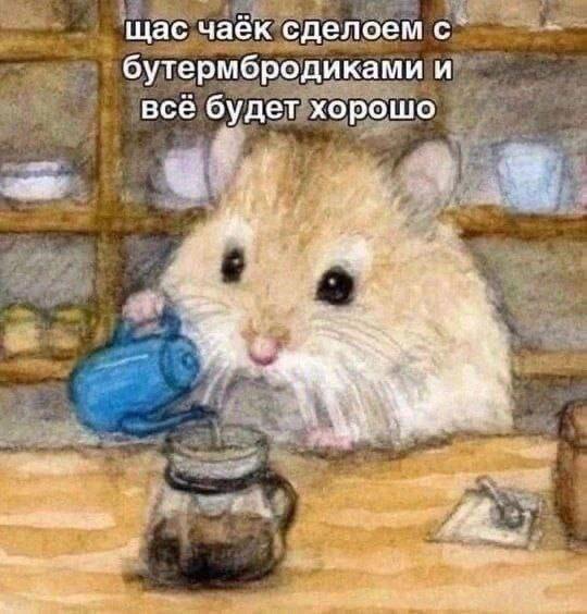 Взято из открытых источников .