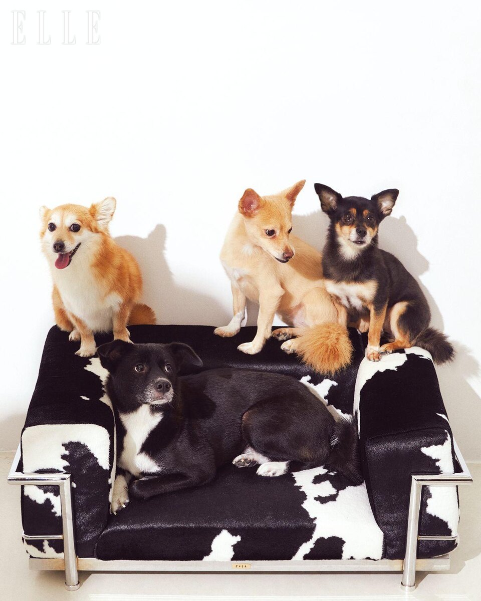 Листайте вправо, чтобы увидеть больше изображений