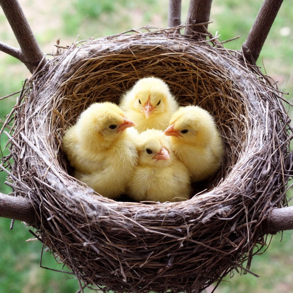 Иллюстрация нейросети «Алиса»