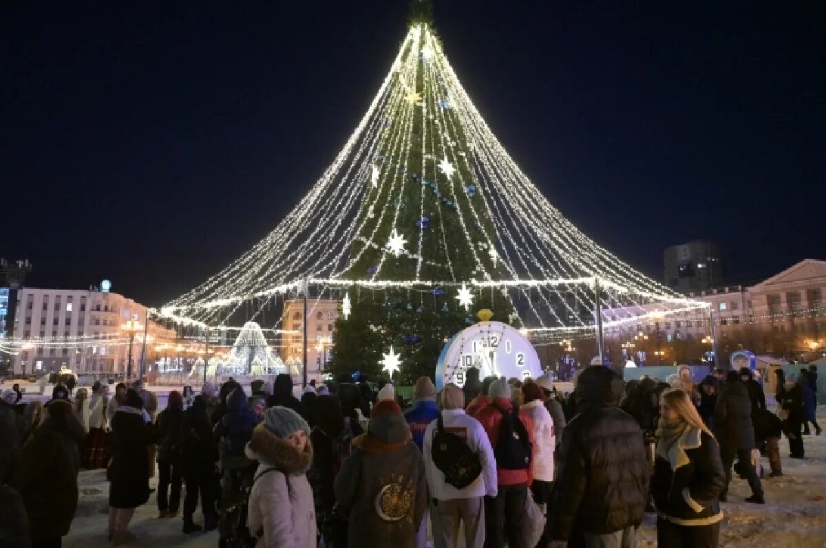    В Хабаровске зажгли огни на главной елке и готовят зимние развлечения