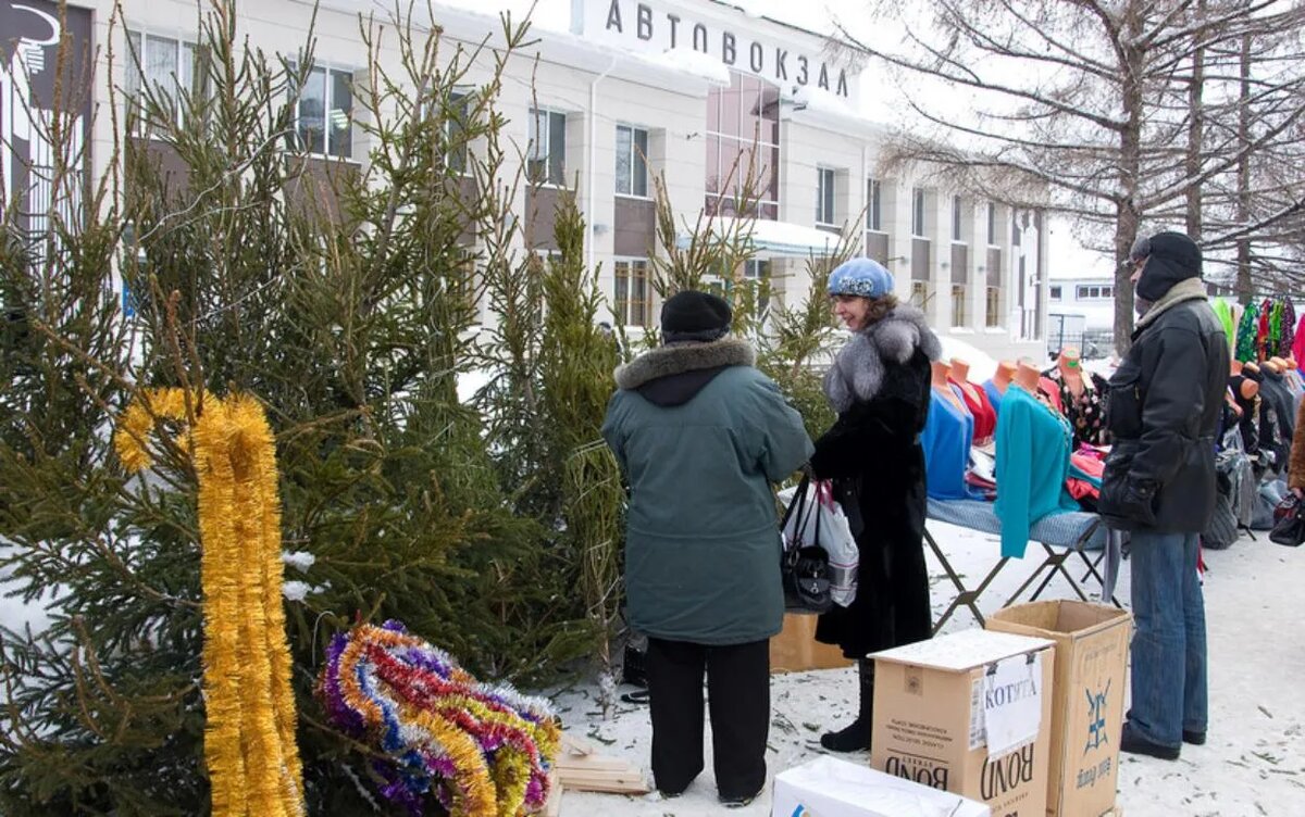    Контроль за вырубкой елей усилили в Удмуртии