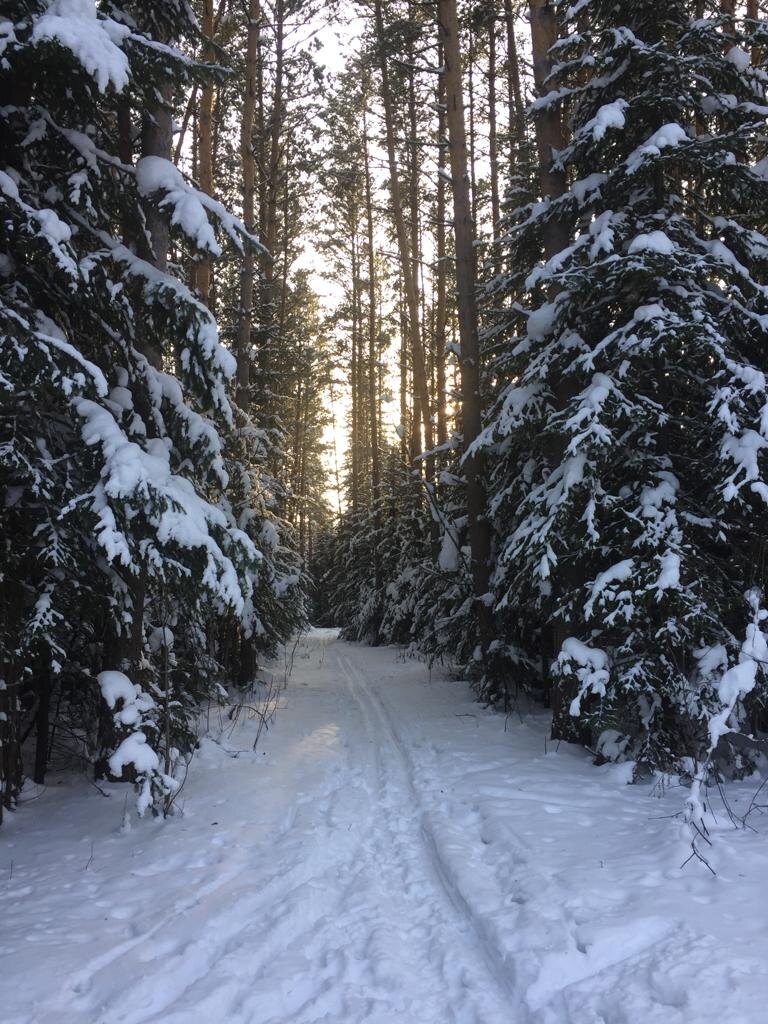А еще появилась надежда, что в этом году я все же смогу опять встать на лыжи. Хоть немного. Последние пару лет боялась - мои суставы могли оказаться категорически против.
