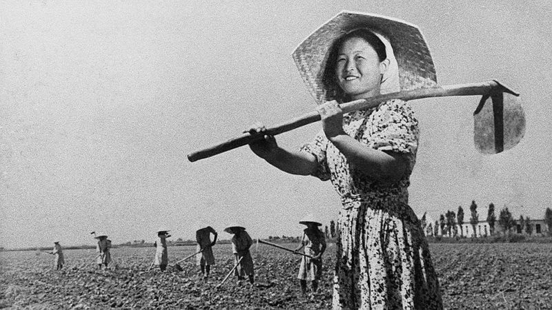 ВМВ / 1937 год / Депортация корейцев в СССР (1937 год) / Трагедия и её последствия