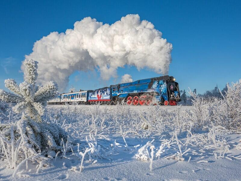 © Фото: vk.com/poezddedamoroza