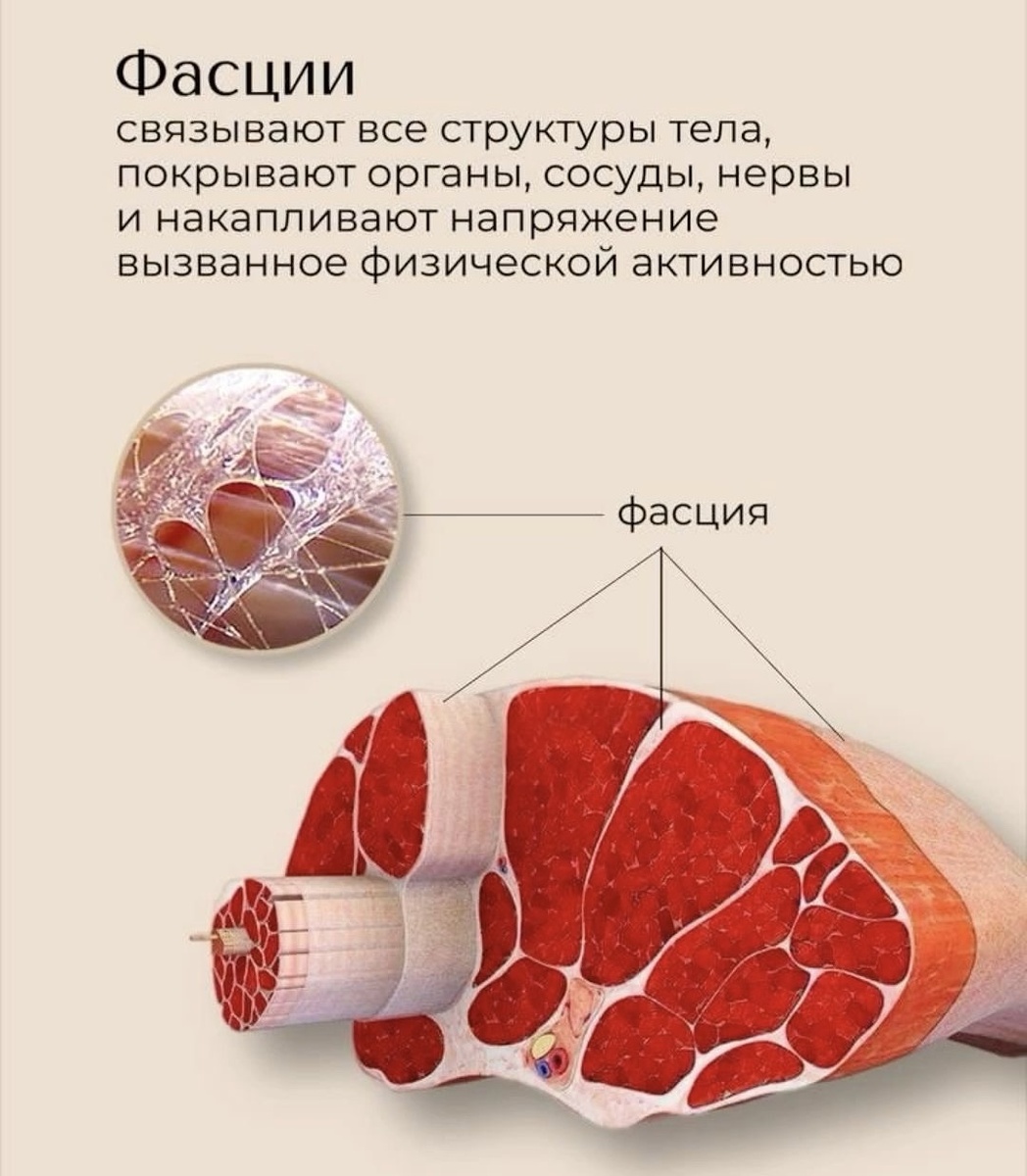 Фото: Pinterest.com