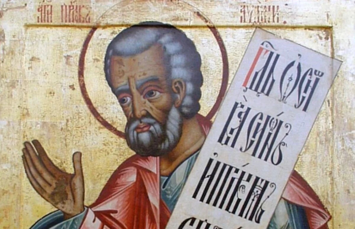    Лишит красоты и рассудка: