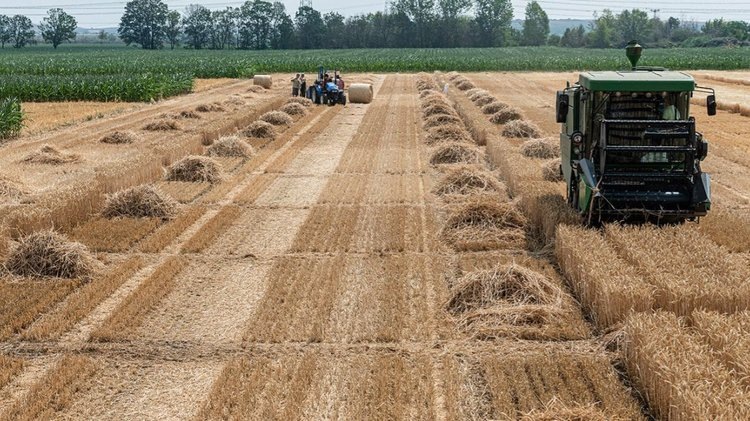    Фото: André Künzelmann / UFZ