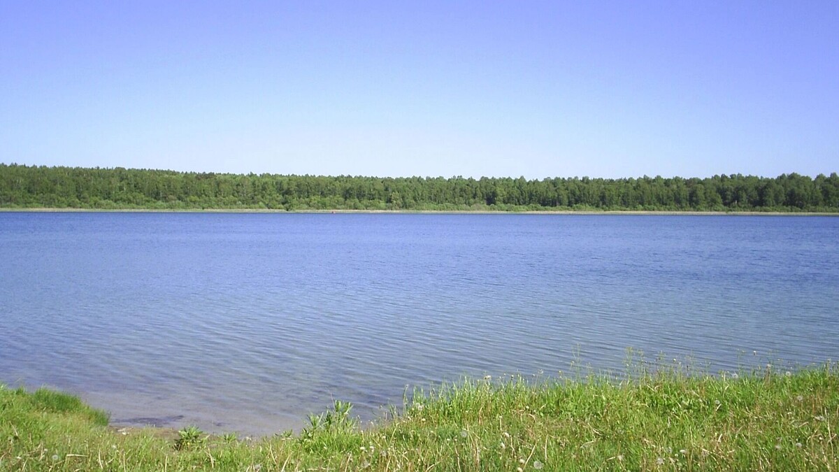     Автор: Strannickxxx Источник: ru.wikipedia.org