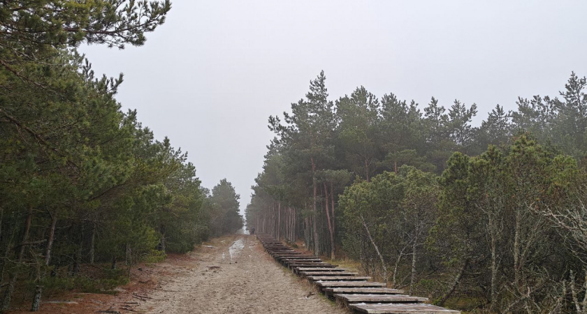    Первый городской канал Калининград