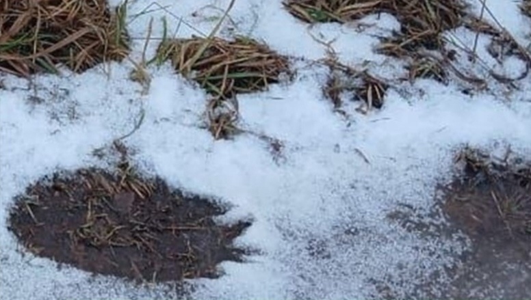    Фото: Администрация Нытвенского муниципального округа / VK Полина Анкушина