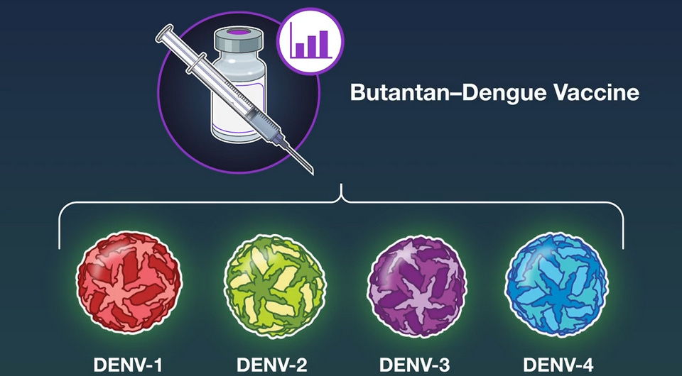   Esper G. Kallás et al. / NEJM, 2024