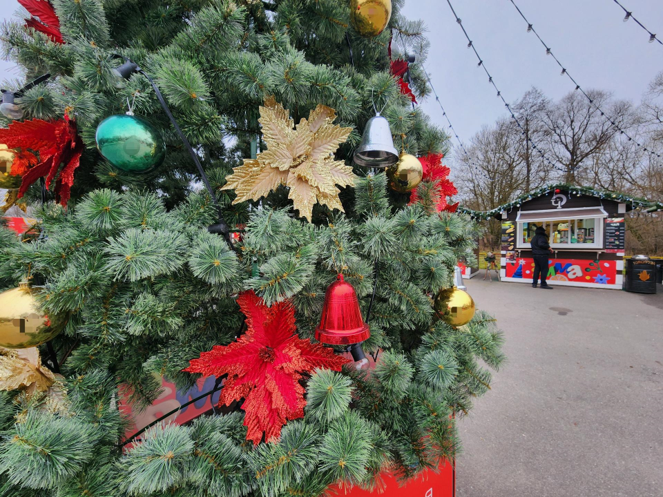    Фото: МедиаБанк Подмосковья/Дмитрий Алексеенко