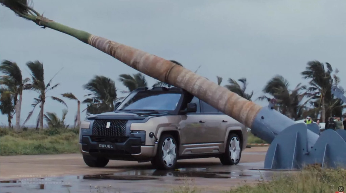 Кадр из видео  📷
