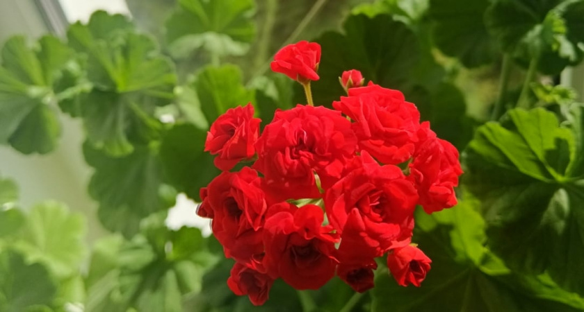    Фото irkutsk.news