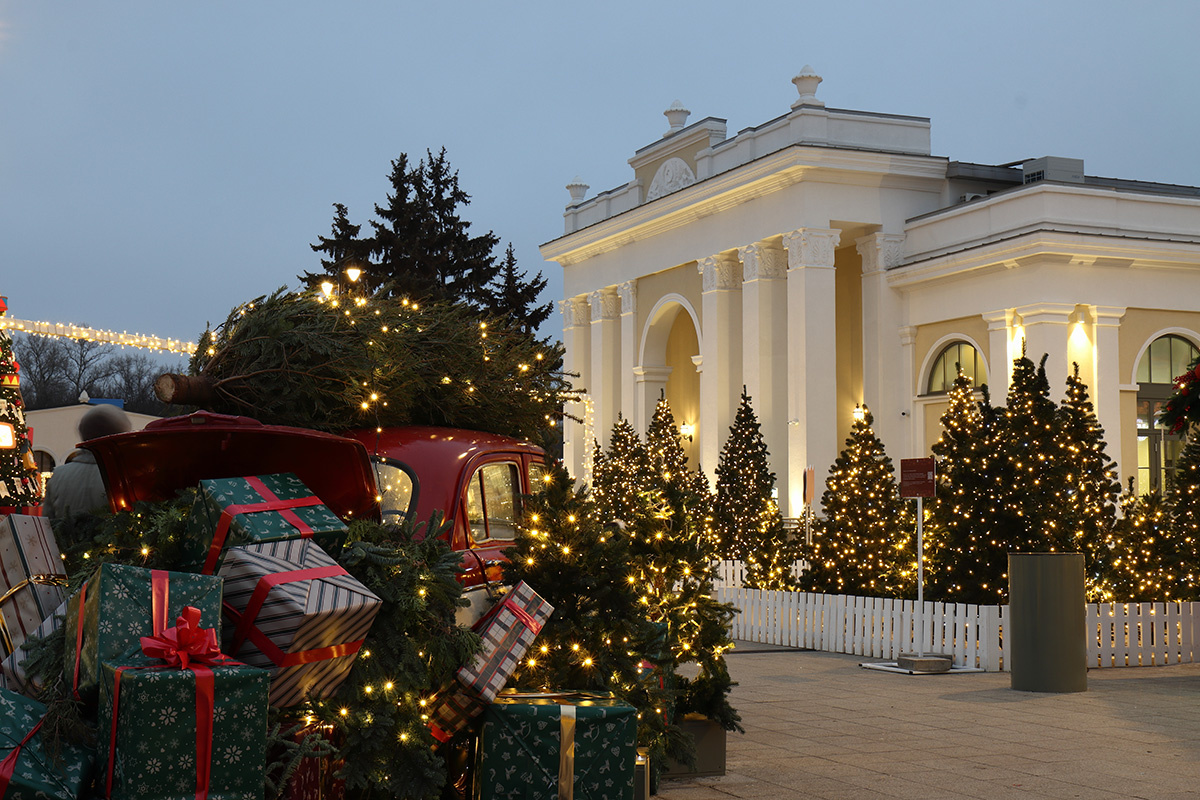 M.Baturitskii / Shutterstock / FOTODOM📷Рязань