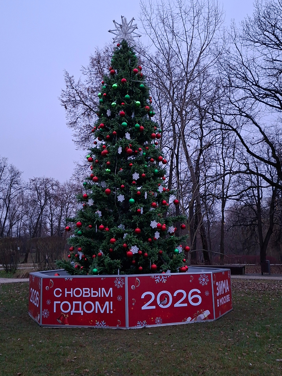 Ель, как и положено ей, зеленеет 