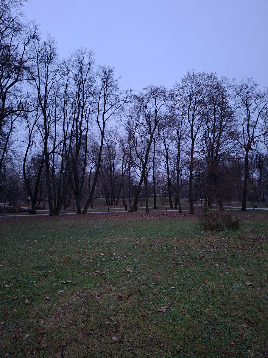 Прозрачный лес один темнеет. Зима, однако 