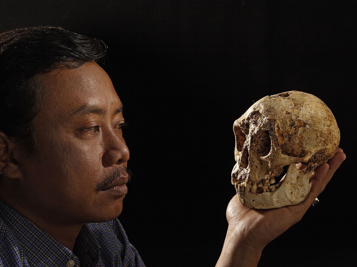 Карликовый череп, найденный на острове Флорес в Индонезии© AP Photo / Ira Block