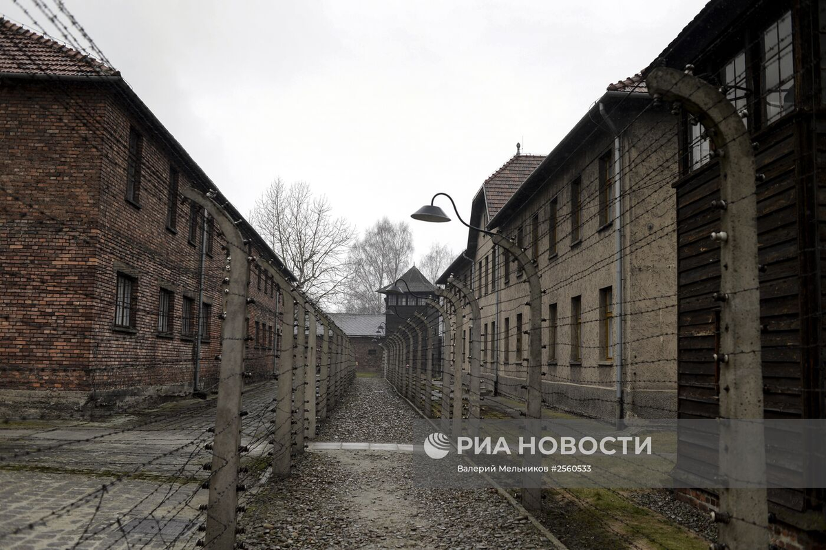 Фото из свободных источников.