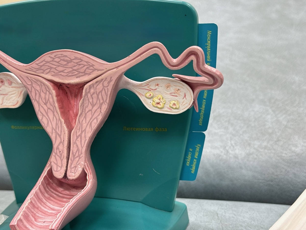 Фото с сайта "Екатеринбургский Медицинский Центр"