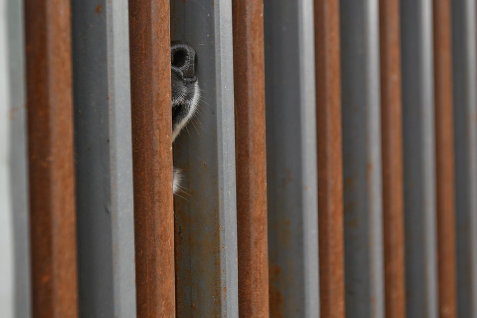    Фото: Архив КП