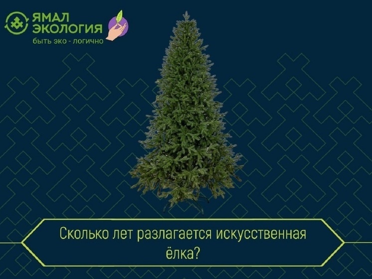     Фото: Ямал экология