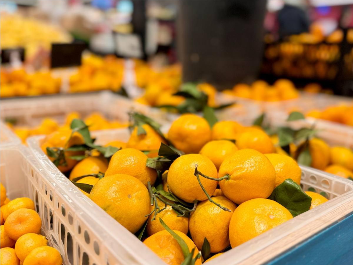    Фото: Минсельхоз Московской области