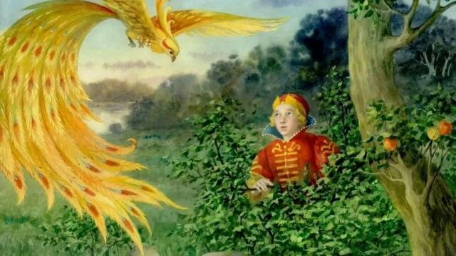 Картинки взяты из интернета