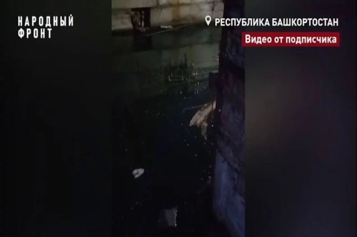    Жители многоквартирного дома в Уфе круглый год живут с комарами